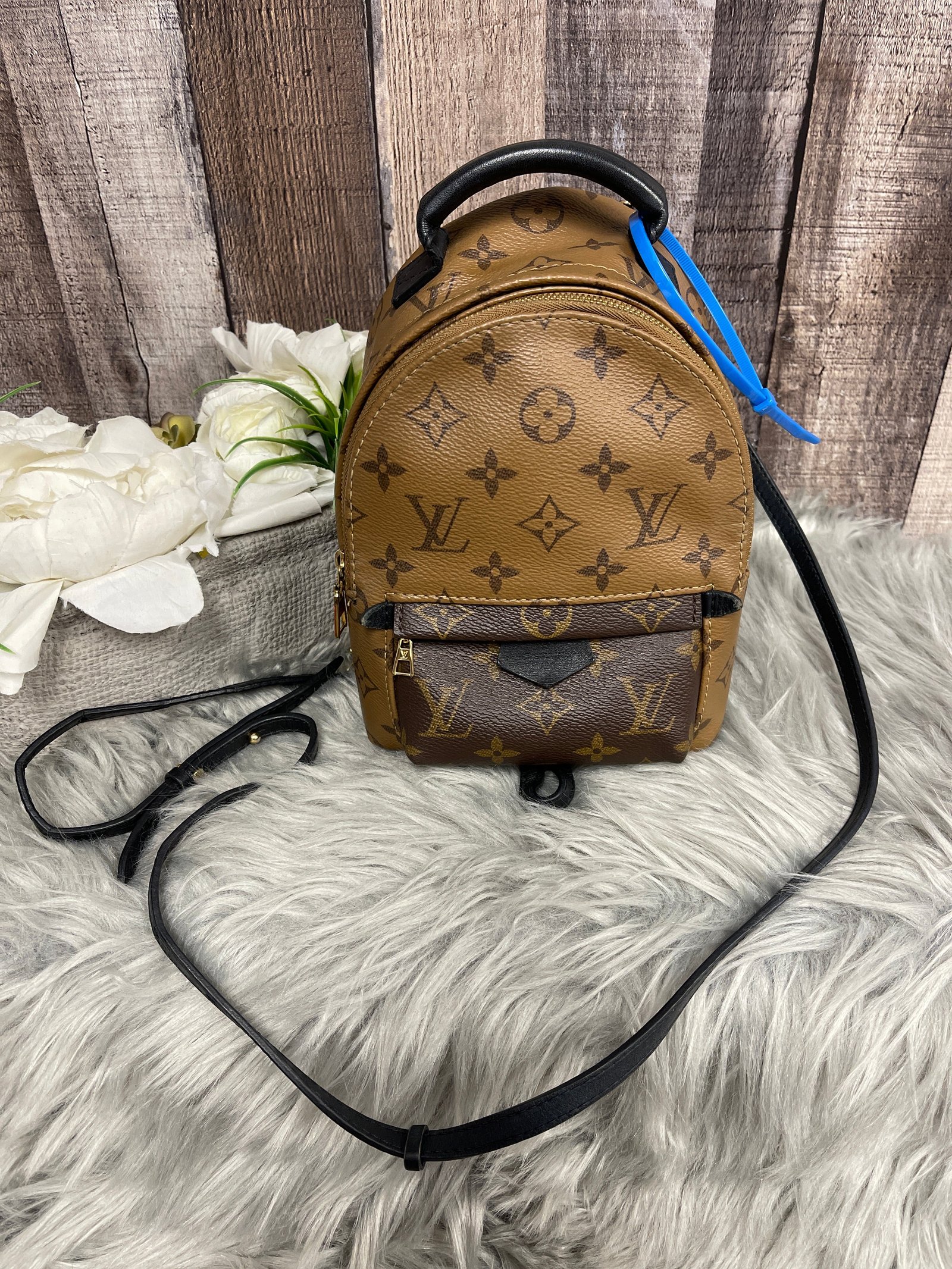 Backpack Luxury Designer By Louis Vuitton Size: Small | AlmaBagz
