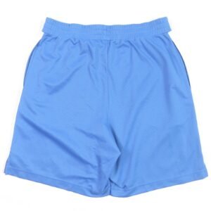 LOUIS VUITTON Shorts polyester blue M | AlmaBagz