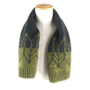 HERMES Scarf Main: 70% wool, Main: 30% cashmere Green Dark Gray mens Used | AlmaBagz