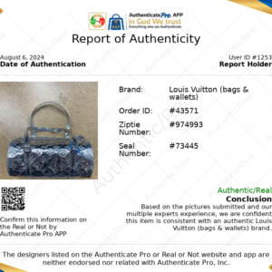 HandBag Luxury Designer By Louis Vuitton, Size: Medium | AlmaBagz