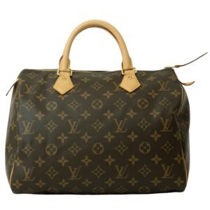 LOUIS VUITTON Speedy 30 Handbag | AlmaBagz