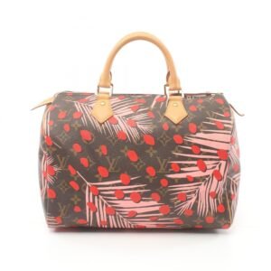 LOUIS VUITTON Speedy 30 Handbag | AlmaBagz