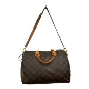 HandBag Luxury Designer Louis Vuitton, Size Medium | AlmaBagz