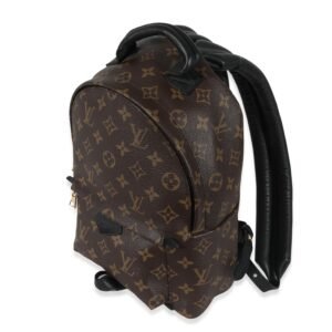 Louis Vuitton Monogram Canvas Palm Springs PM | AlmaBagz