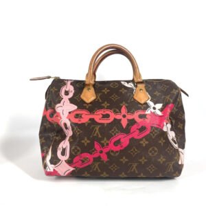 LOUIS VUITTON Handbag M41989 Monogram canvas Brown Monogram Bay Speedy 30 Women Used | AlmaBagz