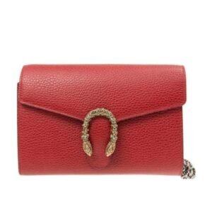 Gucci Dionysus Collection Chain Leather Mini Bag | AlmaBagz