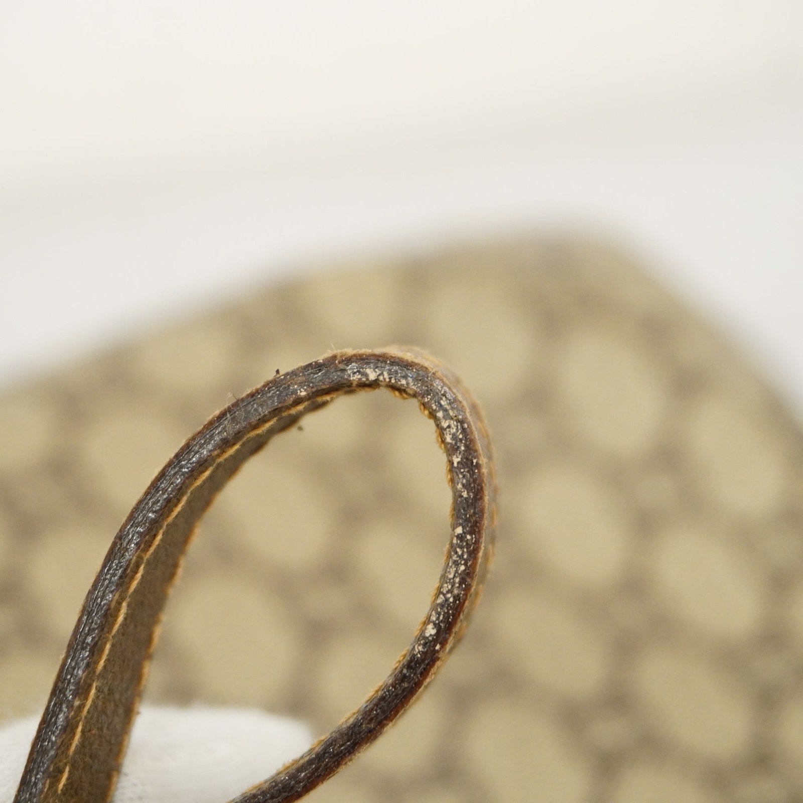 GUCCI GG Plus 122754 PVC Shoulder Bag Beige,Brown | AlmaBagz - Image 15