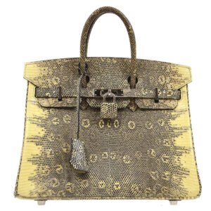 HERMES 2011 BIRKIN 25 Ombre Natural Lizard | AlmaBagz