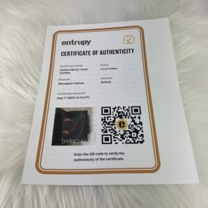 HandBag Luxury Designer By Louis Vuitton, Size: Large | AlmaBagz