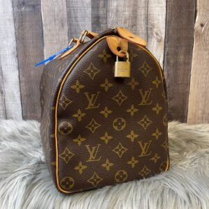 HandBag Luxury Designer By Louis Vuitton Size: Large | AlmaBagz