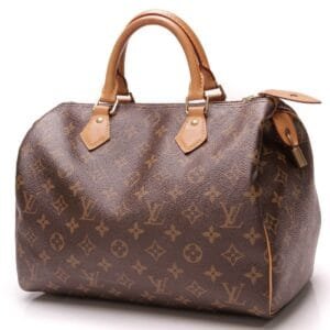 Louis Vuitton Speedy 30 Bag - Monogram | AlmaBagz