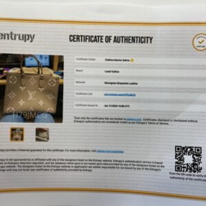 HandBag Luxury Designer Louis Vuitton, Size Medium | AlmaBagz