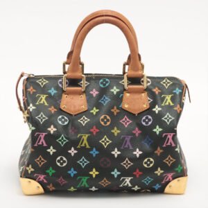 Louis Vuitton Multicolor Speedy 30 | AlmaBagz
