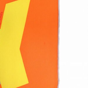 HERMES scarf silk Orange Carre70 Omage to Gene Kelly Women Used | AlmaBagz