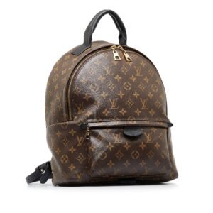 Louis Vuitton Monogram Palm Springs MM Backpack | AlmaBagz