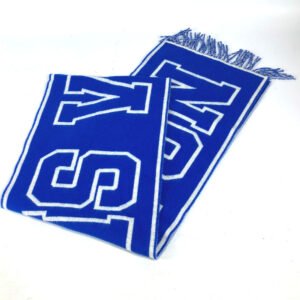 LOUIS VUITTON Scarf M71318 Wool / cashmere blue Echarpe City | AlmaBagz