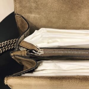 Gucci Beige Dionysus Bag | AlmaBagz