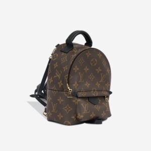 Louis Vuitton Palm Springs Backpack - Mini | AlmaBagz
