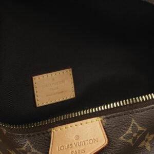 Louis Vuitton Bumbag - Monogram | AlmaBagz