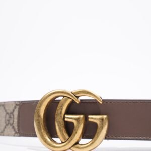 Gucci Marmont Belt Supreme Coated Canvas 80cm 32" | AlmaBagz