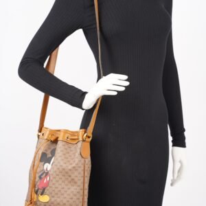 Gucci x Disney Womens Bucket Bag Brown Small | AlmaBagz