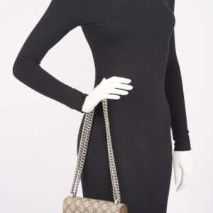Gucci Womens Dionysus Bag Brown Canvas Mini | AlmaBagz