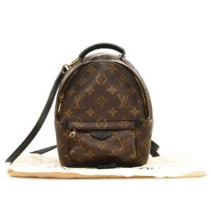 LOUIS VUITTON Monogram Palm Springs Backpack Mini | AlmaBagz