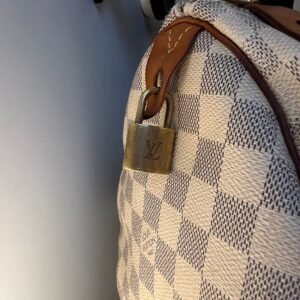 Louis Vuitton - Sac Speedy 30 | AlmaBagz