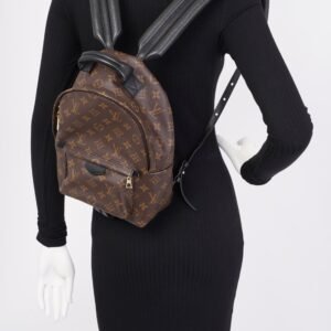 Louis Vuitton Palmsprings PM Monogram Coated Canvas | AlmaBagz