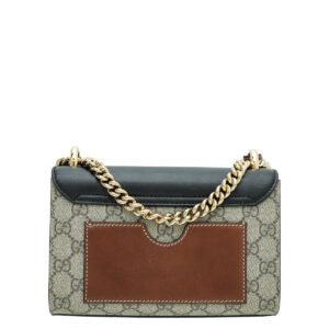 Gucci Tricolor GG Padlock Small Bag | AlmaBagz