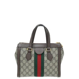 Gucci Multicolor GG Supreme Ophidia Small Tote Small Bag | AlmaBagz