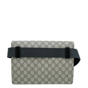 Gucci Bicolor Dionysus Belt Bag | AlmaBagz