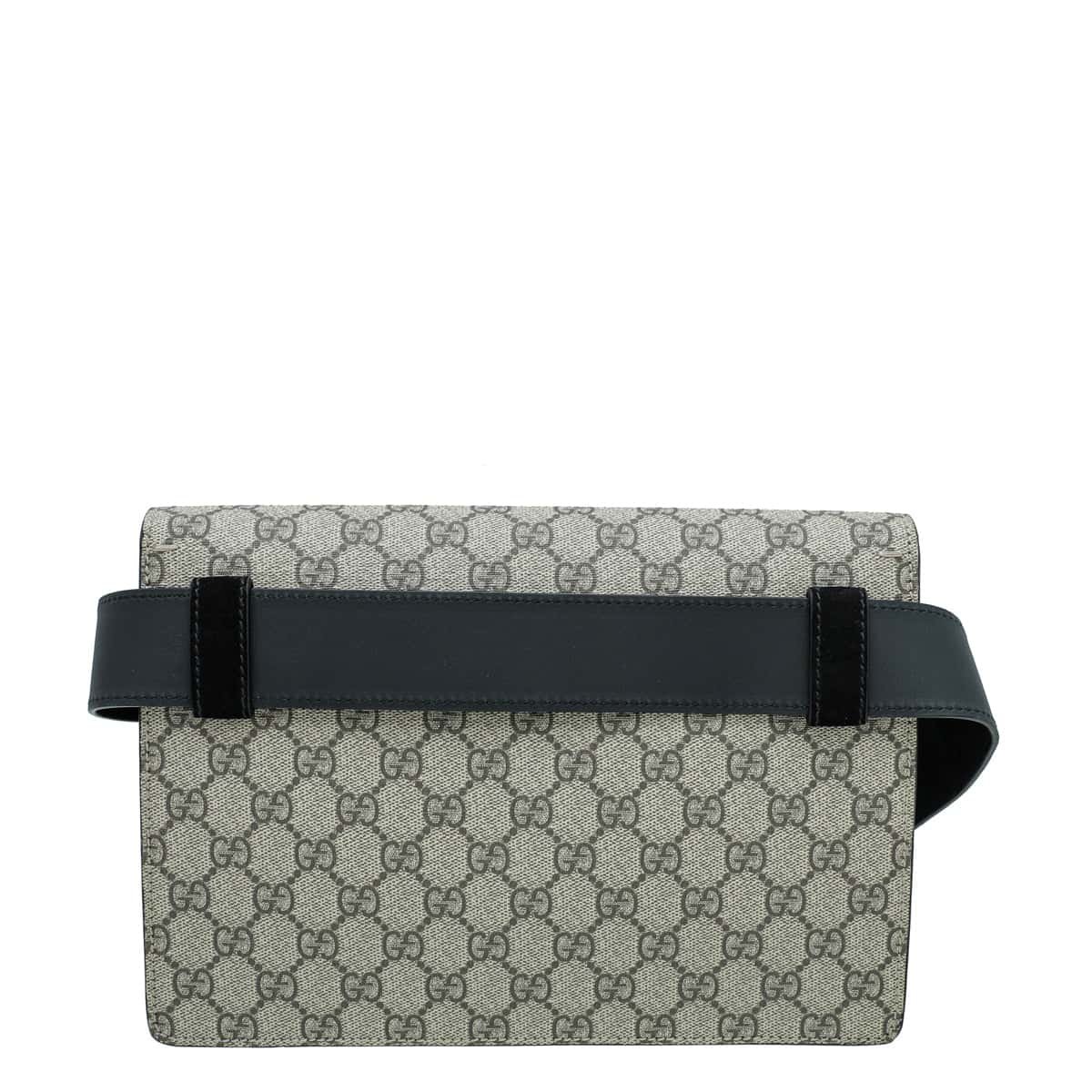 Gucci Bicolor Dionysus Belt Bag | AlmaBagz