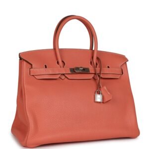 Hermes Birkin 35 Crevette Clemence Palladium Hardware | AlmaBagz
