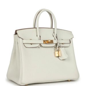 Hermes Birkin 25 Leather Gold Hardware Handbag Bag for Women (White Matt) | AlmaBagz