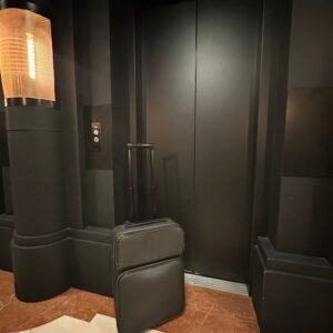 Louis Vuitton - Valise Cabine Pegasse | AlmaBagz