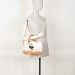 LOUIS VUITTON By the Pool Speedy 25 | AlmaBagz
