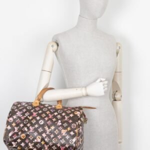 LOUIS VUITTON Speedy 35 Richard Prince Watercolor Aquarelle MNG | AlmaBagz