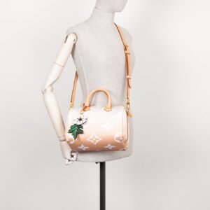 LOUIS VUITTON Speedy 25 By The Pool Rose | AlmaBagz