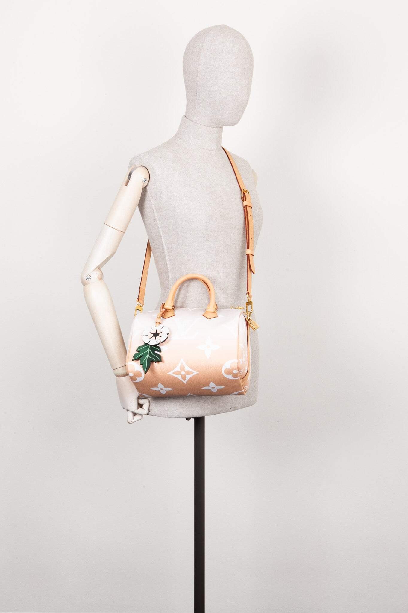 LOUIS VUITTON Speedy 25 By The Pool Rose | AlmaBagz