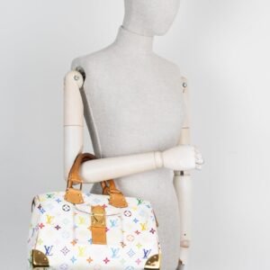 LOUIS VUITTON Speedy Bag 30 Murakami Multicolor | AlmaBagz