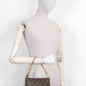 LOUIS VUITTON Pochette Accessoires MNG Canvas | AlmaBagz