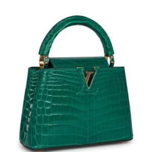 Louis Vuitton Mini Capucine Aquamarine Crocodile Gold Hardware | AlmaBagz