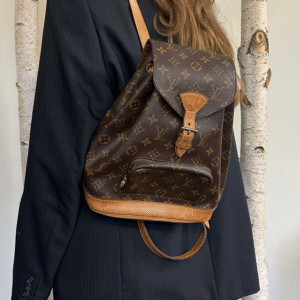 LOUIS VUITTON Montsouris MM Backpack MNG Canvas | AlmaBagz