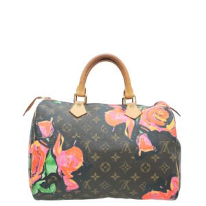 Louis Vuitton Monogram Mullticolor Stephen Sprouse Roses Speedy 30 Bag | AlmaBagz