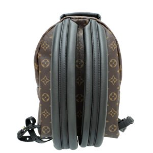 Louis Vuitton Monogram Palm Spring PM BackPack Bag | AlmaBagz