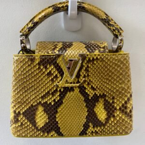 LOUIS VUITTON PYTHON MINI CAPUCINES BAG | AlmaBagz