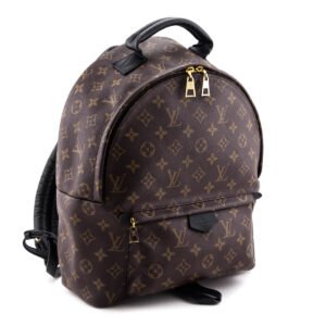 Louis Vuitton Monogram Palm Springs MM | AlmaBagz