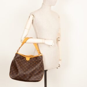 LOUIS VUITTON Delightful Bag NM MNG | AlmaBagz