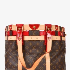 Louis Vuitton 2007 Monogram Canvas/Leather Rubis Salina MM Tote | AlmaBagz